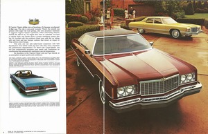 1974 Chevrolet Full Size (Cdn)-04-05.jpg